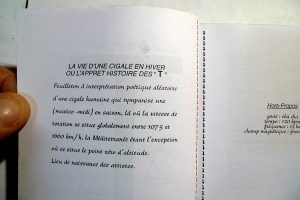 13-page-livreT