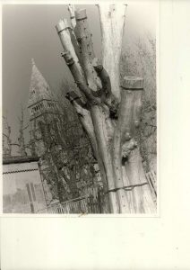 Ex voto à l'atelier de St Barnabé 1995