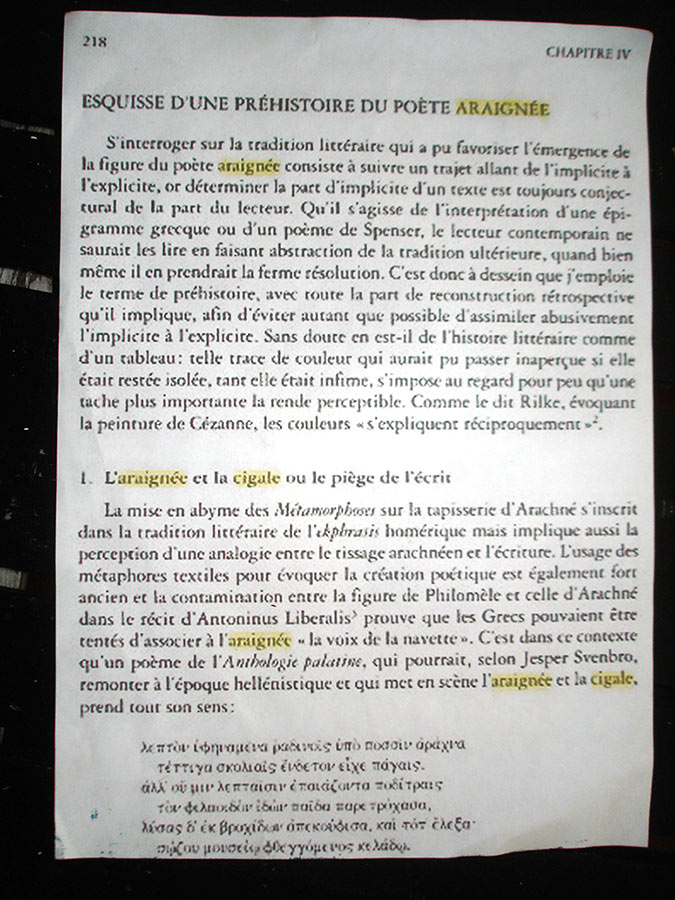 La Cigale et l'araignée